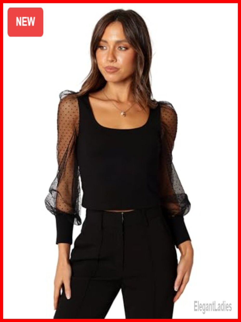 Crop Top with Sheer Mesh Long Sleeves and Round Neck Pullover